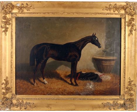 BRITISH SCHOOL (19TH CENTURY) Horse in stablesUnsigned, oil on canvas43cm x 39cmLabel verso 'Mr G C Edwards, Portrait & Anima