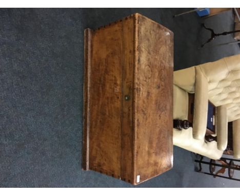 Nineteenth century camphorwood trunk.