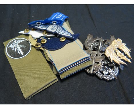 Israel Military Badge Collection. Army and Air Force cloth and metal badges (23 items)