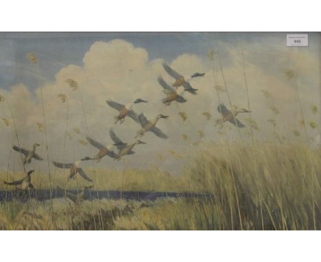 PETER SCOTT, Ducks in Flight, print, framed and glazed. 59.5 x 36 cm.