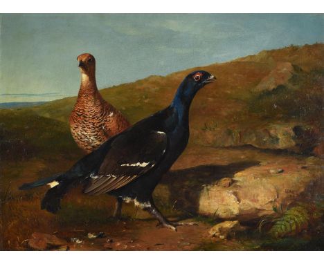 J. C. Bell (British fl.1857 - 1868)Two pheasants in a landscapeOil on canvasSigned and dated 1863 (lower right)58 x 78cm (22¾