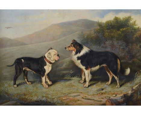 Edward Lloyd (British 1818-1901)A collie and a bulldogOil on canvasSigned and dated Dec 1895 (lower right)32 x 47cm (12½ x 18