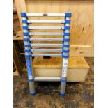 Mcalister Telescopic Extension Ladder (Located Bethnal Green – Please see General Notes for More