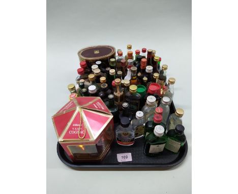 Various miniature bottles of brandy, cognac, gin and vodka