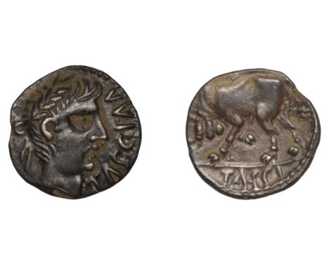 British Iron Age, CATUVELLAUNI, Tasciovanos, silver Unit, tasciaa, laureate bust right, rev. bull butting left, tassi, 1.26g/