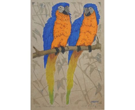 Martin Erich Philipp (1887, Zwickau - 1978, Dresden), "Zwei Blauflügel-Aras", um 1925, Farbholzschnittim Druckstock monogramm