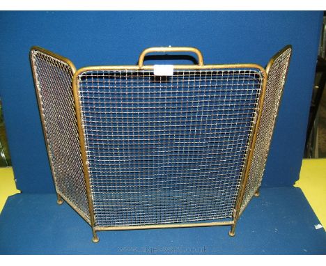 A Brass Fireguard.