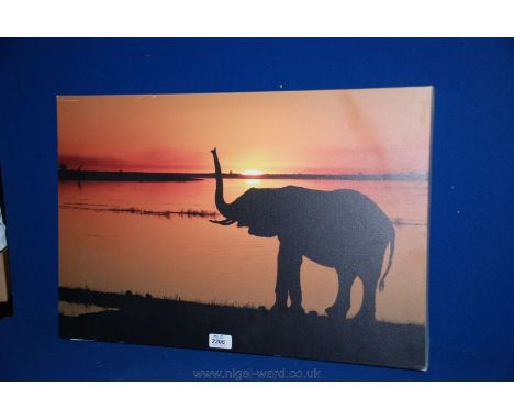 A Print on canvas of an African Elephant at sunrise, 24'' x 16''.