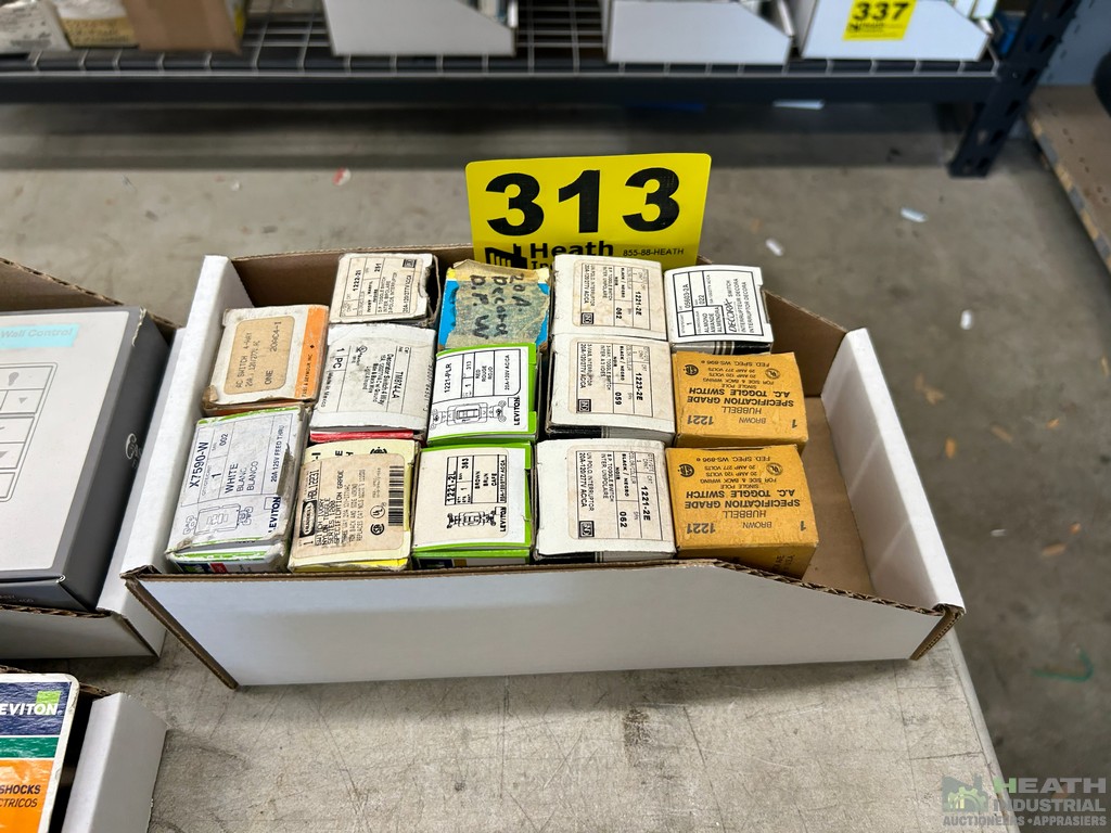 Lot 313