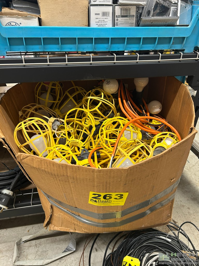 Lot 263