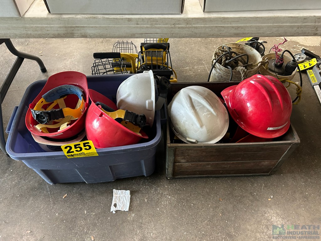 Lot 255