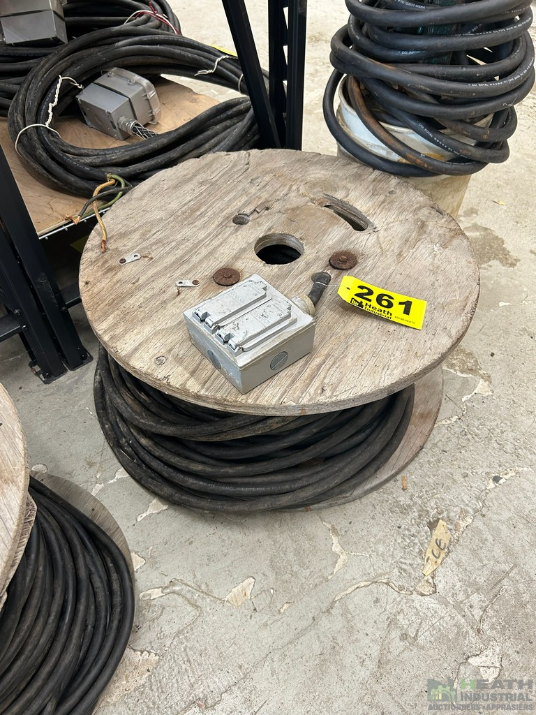 Lot 261