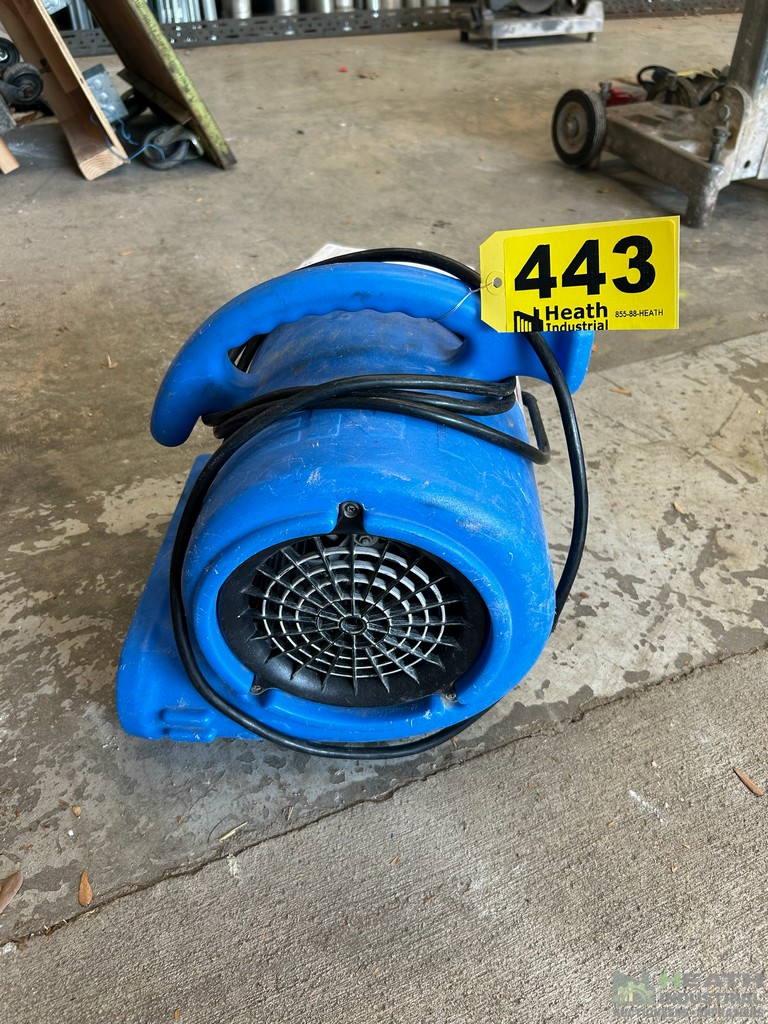 Lot 443