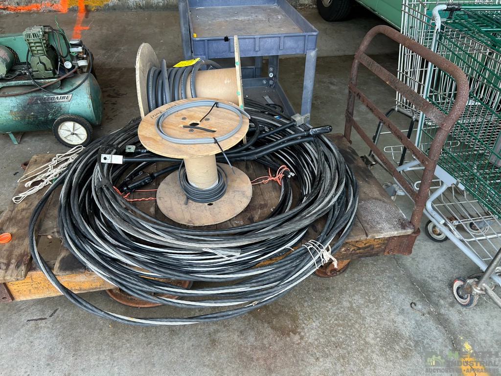 Lot 256B