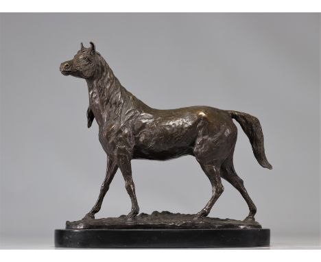 Bronze horse on marble base - Weight: 7.00 kg - Shipping unavailable - Region: Europe - Sizes: H 345 mm x L 360 mm - At first
