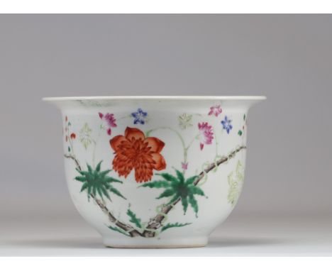 Chinese famille rose vase with plant decoration - Weight: 1.87 kg - Shipping available - Region: Chine - Sizes: H 155 MM L 23