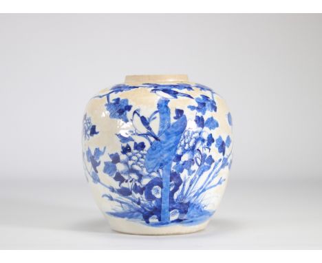 Chinese porcelain vase decorated with birds and nature in white and blue - Weight: 1.82 kg - Shipping available - Region: Chi