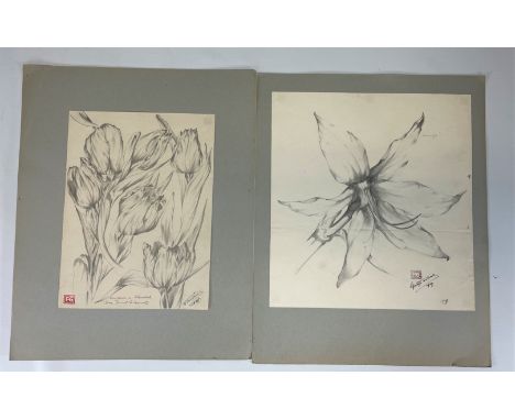 Lot (15) of "study of flowers" drawings circa 1920 - Weight: 820 g - Shipping available - Region: Europe - Sizes: DIVERS - At