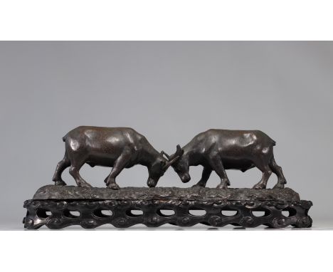 Large Asian bronze "water buffalo fight" - Weight: 10.00 kg - Shipping unavailable - Region: Asie - Sizes: L 570 mm  - At fir