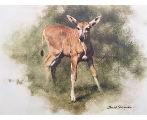 After David Shepherd CBE (1931-2017) Young Eland, signed limited edition offset lithographic print, pencil signed to the marg