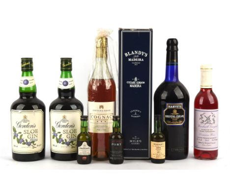 Mixed case, Madeira Blandy's 10yr Sercial, 1 bottle, together with Sloe gin, 2 bottles, Harvey's Bristol cream, 1l bottle, Fo