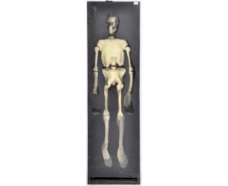 Ghost Train - A late 20th Century fairground / funfair spooky cased skeleton light once used within a ghost train ride. Set w