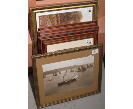 Group of assorted furnishing pictures, prints. Framed and glazed. (7)