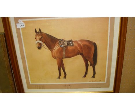 Endorsed Ltd Edition print by Neil Cawthorne of Red Rum with D McClean counter signature F&G 44 cms x 48 cms (equestrian inte