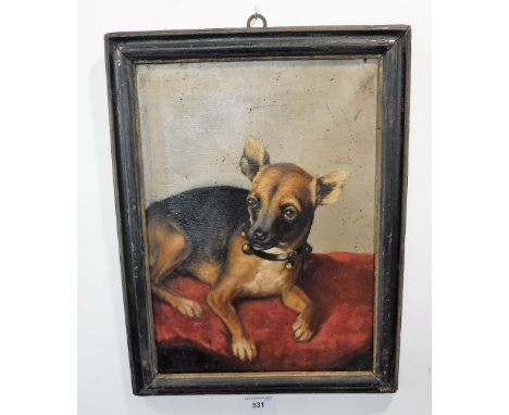 A NAIVE 19TH CENTURY PORTRAIT OF A CHIHUAHUA PUP, oil on canvas in an ebonised frame 