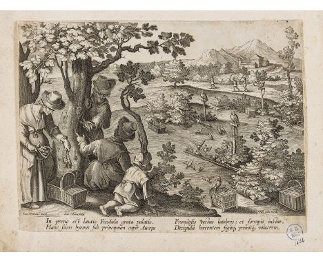 NO RESERVE Birds.- Collaert II (Jan) Four plates from 'Venationes Ferarum, Avium, Piscium', after Jan van der Straet, each sh