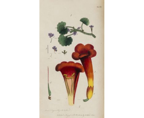 Botany.- Martyn (Thomas) Thirty-Eight Plates with Explanations, intended to illustrate Linnaeus's System of Vegetables, 38 fi