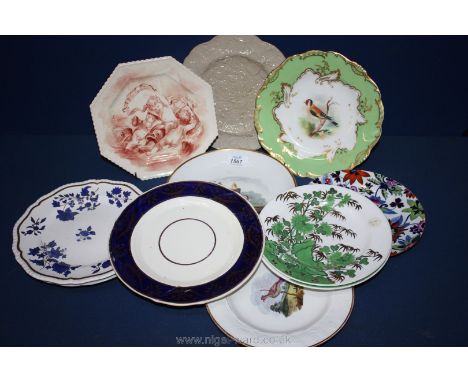 Various china plates to include Goldfinch, Spode, Copeland, etc