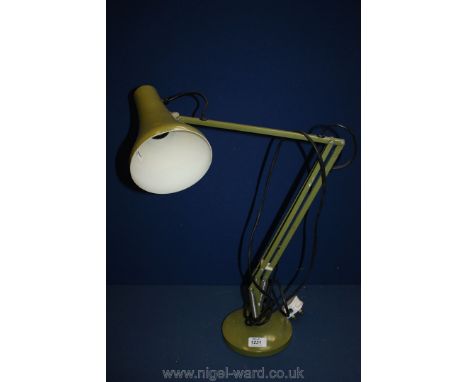 An olive green Angle poise Lamp