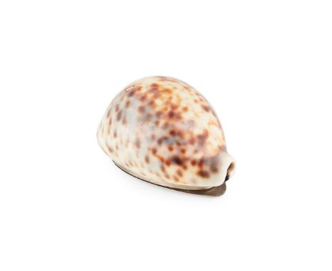  AN EARLY 19TH CENTURY SCOTTISH SILVER MOUNTED COWRIE SHELL SNUFF BOX MAKER'S MARK INDISTINCT, EDINBURGH the polished cowrie 