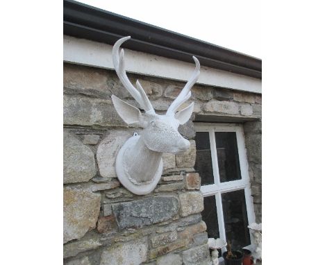 A Timber Stags Head With Bracket