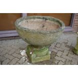 A good large pair of reconstituted stone pedestal planters.