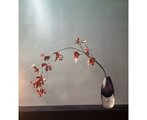 "Robert Mapplethorpe (1946-1989) was an American photographer known for his controversial and provocative black-and-white pho