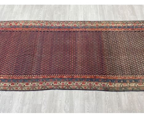 Very large “Dara” Persian runner (carpet) - 515x171cm 