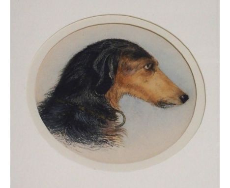 BRITISH SCHOOL Portrait dog head, watercolour, 18cm diameter Condition Report: Available upon request