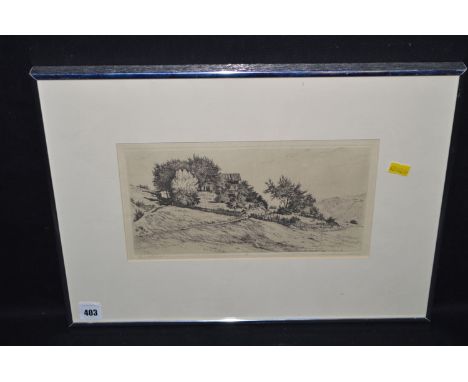 An etching, after Carl Strauss - "Mein Alter Nein-Salums".