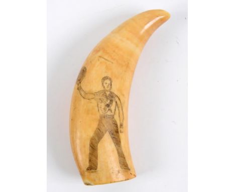 A 19th century scrimshaw tooth, decorated a sailor waving his hat, 13.5 cm  See illustration