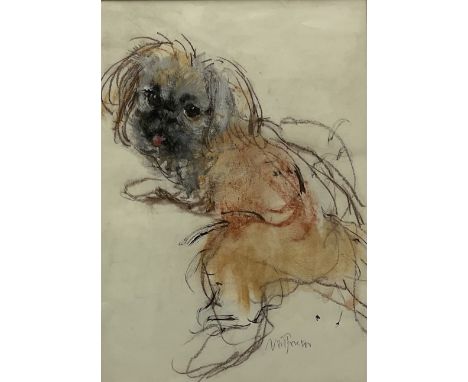 Neil Forster (British 1942-2016): Dog Portrait, pastel signed 35cm x 25cm