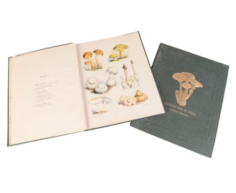 SARAH PRICE: ILLUSTRATIONS OF THE FUNGI OF OUR FIELDS AND WOODSpublished for the author by Lovell Reeve & Co, Covent Garden, 