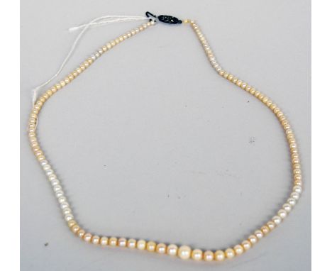 A graduated cultured pearl necklace with a white metal clasp, 52cmL