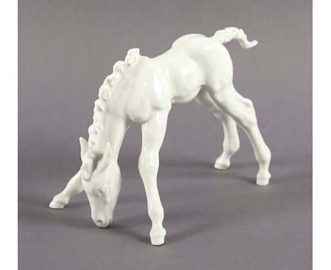 FIGUR "FOHLEN", H 12, Bossierernr. 149, Modellnr. A 1269, Entwurf Willi MÜNCH-KHE von 1931, MEISSEN, 1951