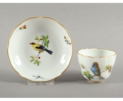 TASSE MIT UNTERTASSE, Form Neuer Ausschnitt, Asthenkel, farbig gemalt Vogel auf Ast und Insekten, Goldstaffage und -rand, H T
