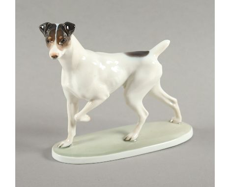 "FOXTERRIER", naturalistisch staffiert, H 14, Modellnr. K 568, Entwurf Theodor KÄRNER von 1920, ROSENTHAL, SELB, zeitnahe Aus