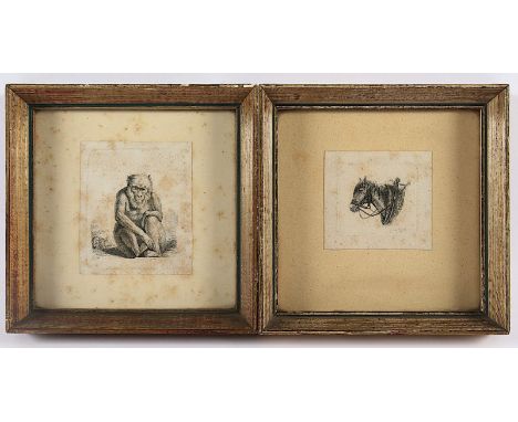 WINTTER, Joseph wohl (auch Joseph Winter), Affe und Pferdekopf, Radierungen, bis 8 x 7, besch., R.