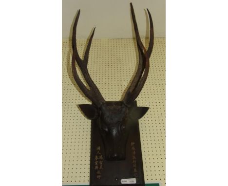 A set of antlers, on a carved stag's head, for the Chinese market, mounted on a wooden panel, with Chinese calligraphy, 88 cm