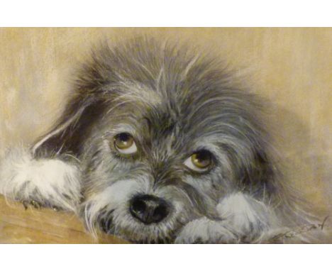 PASTEL OF A TERRIER. Pastel of a small terrier signed R Reardon to lower right,  29 x 19 cm 